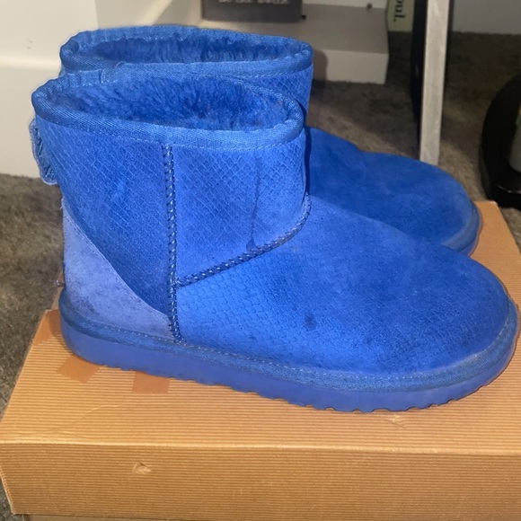 Exotic mini scale blue uggs - Picture 4 of 8